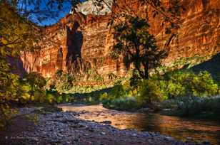 Zion, Fall color-4639